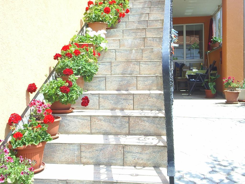 Apartments And Rooms Juki Senj  Εξωτερικό φωτογραφία